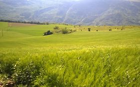 B&B Casale Giovannozzi