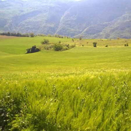 B&B Casale Giovannozzi Ascoli Piceno Exterior foto